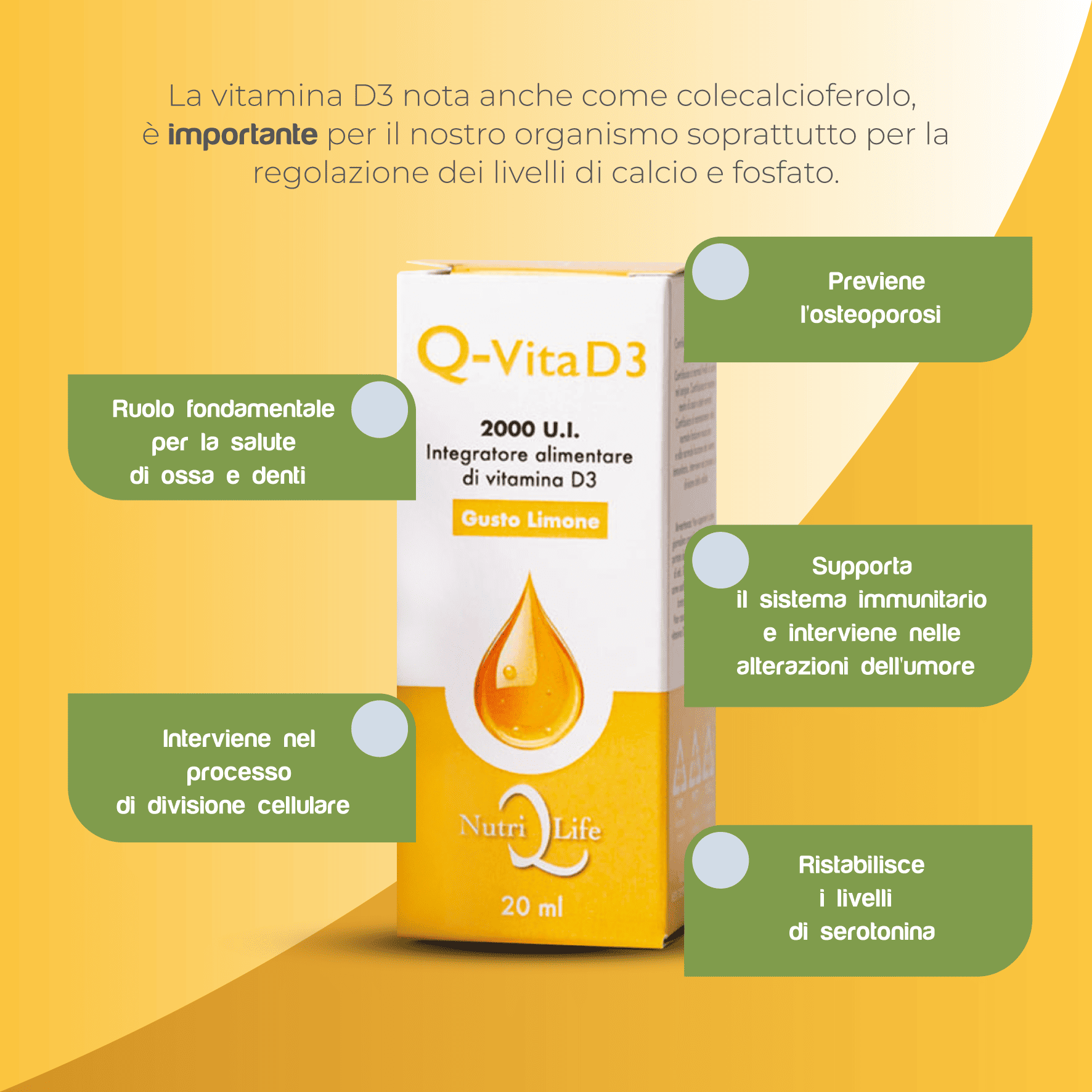 Q-Vita D3 - immagine 4