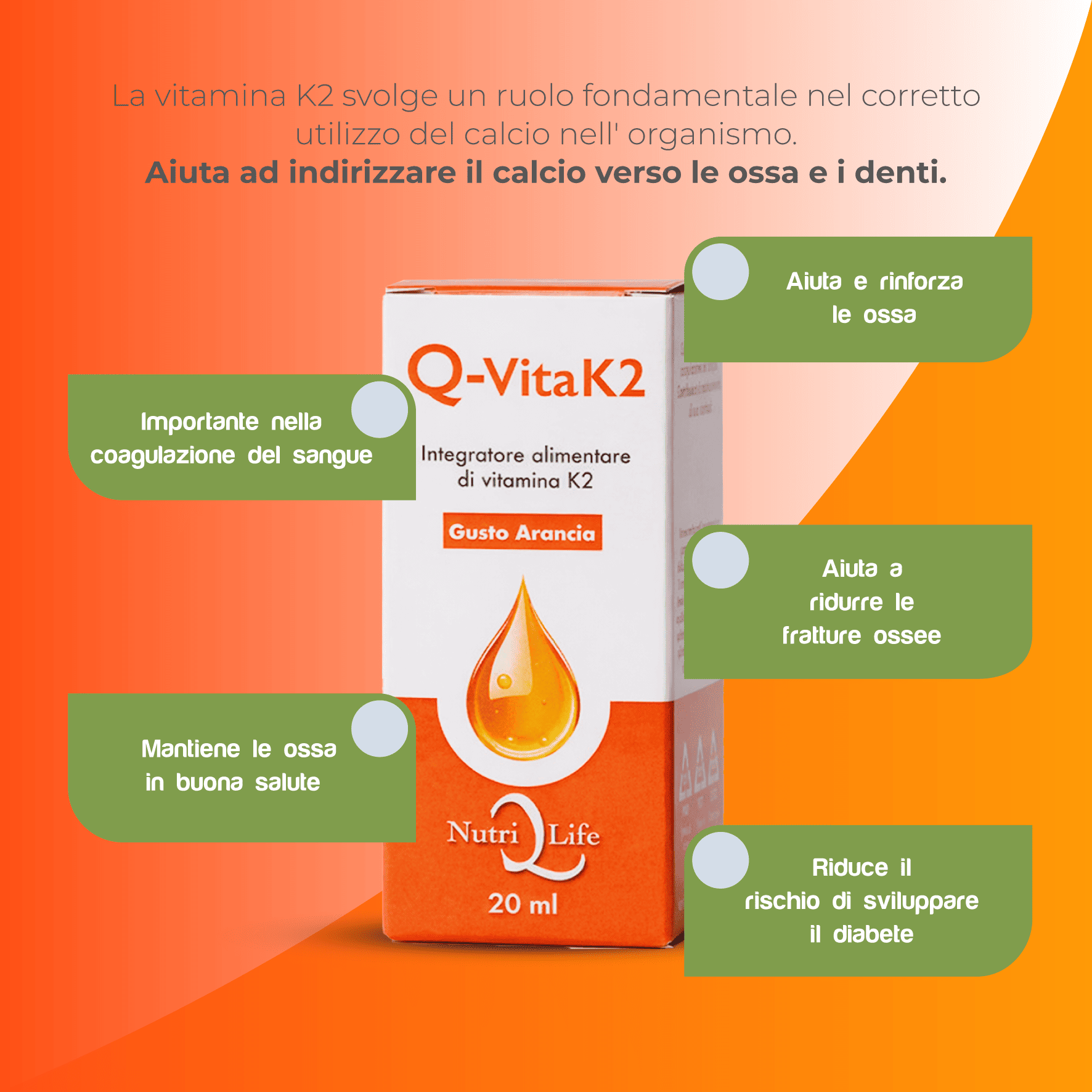 Q-Vita K2 - immagine 6