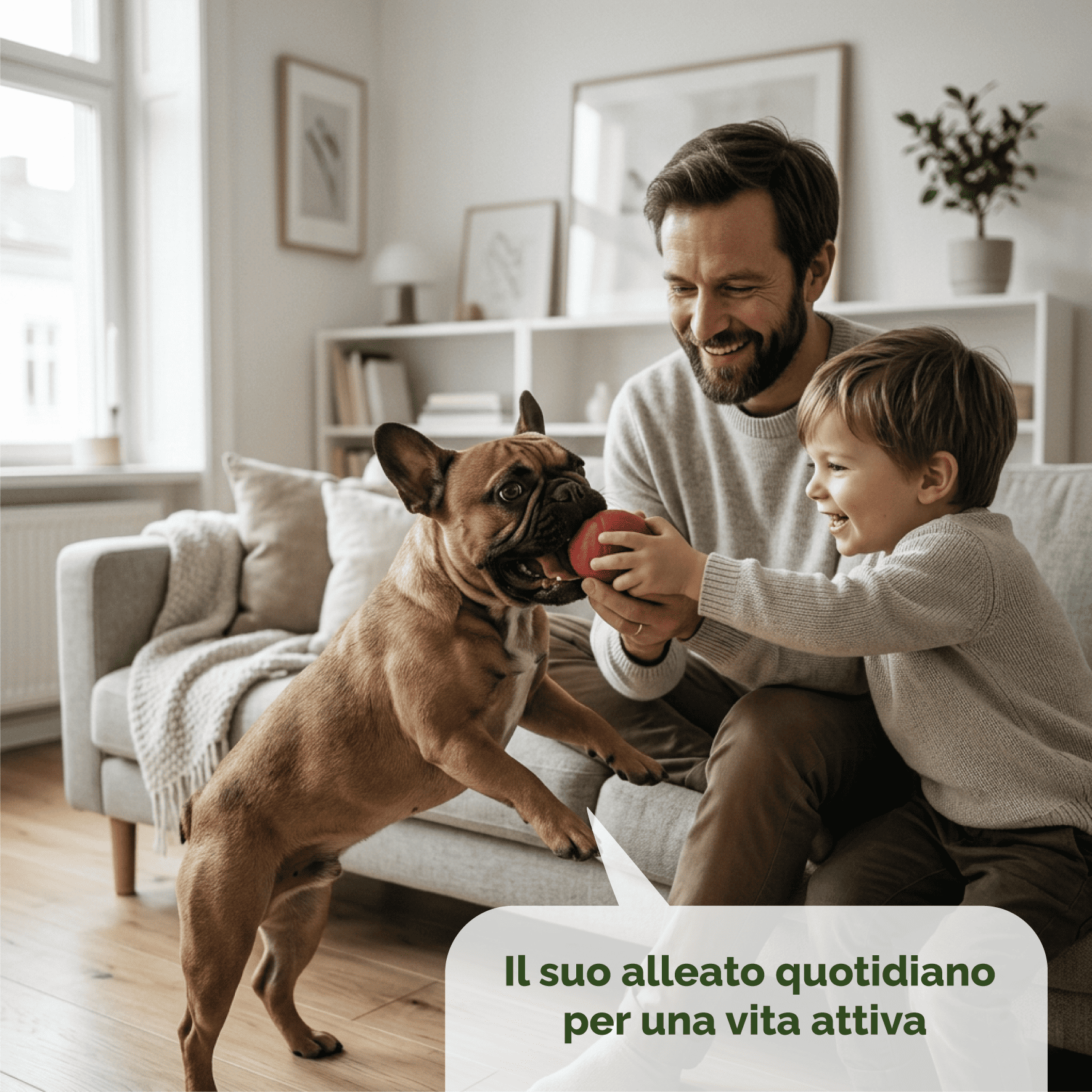 Multi-Vet Complex Cane - immagine 3