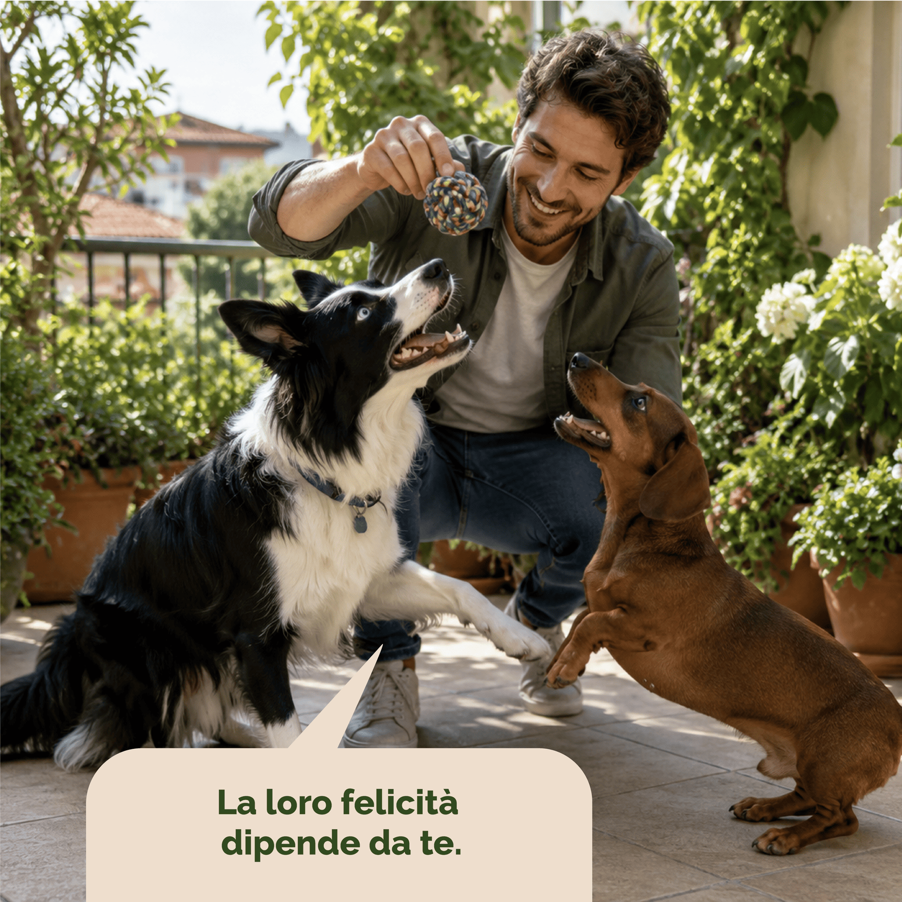 Arto-Vet Flex Cane - immagine 3