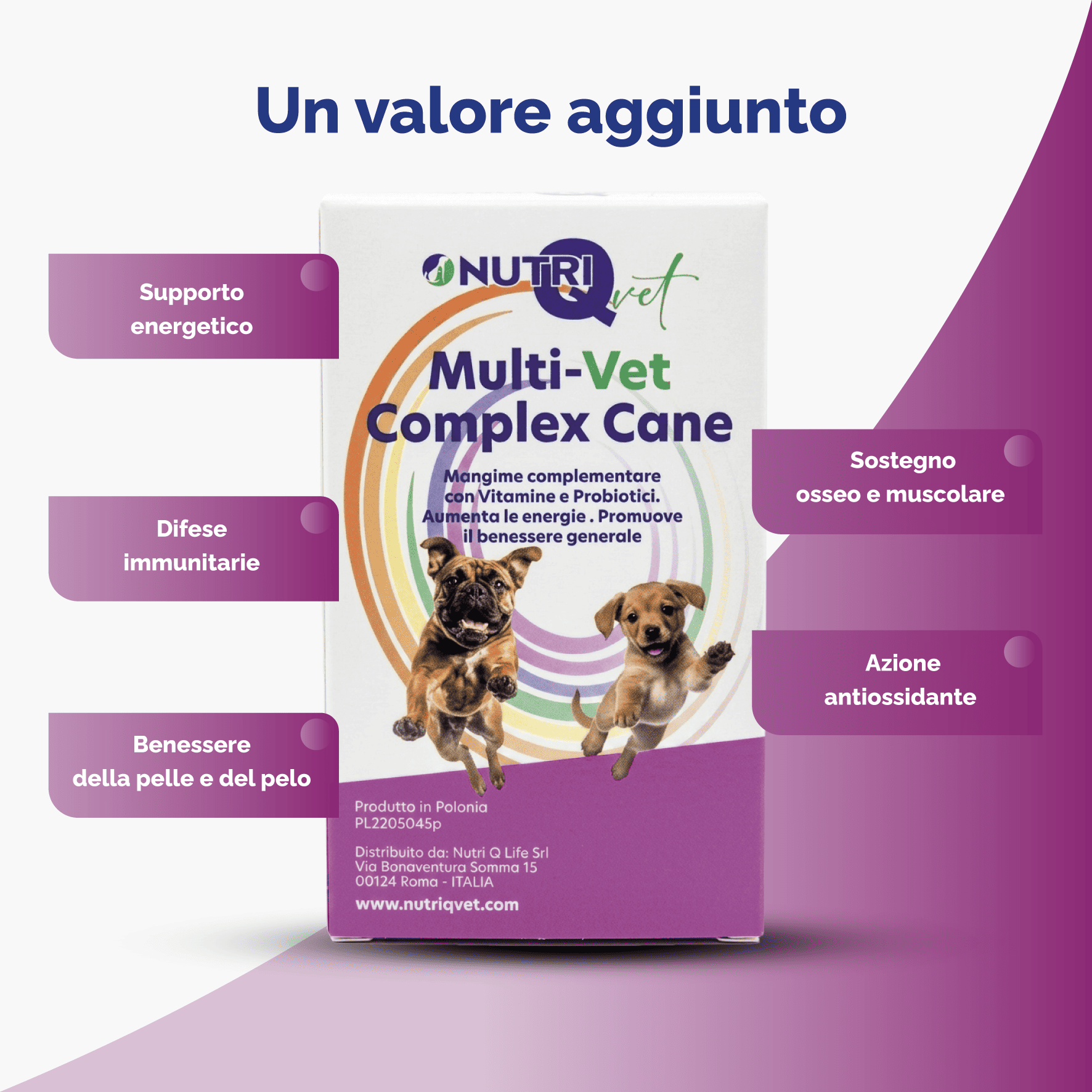 Multi-Vet Complex Cane - immagine 4