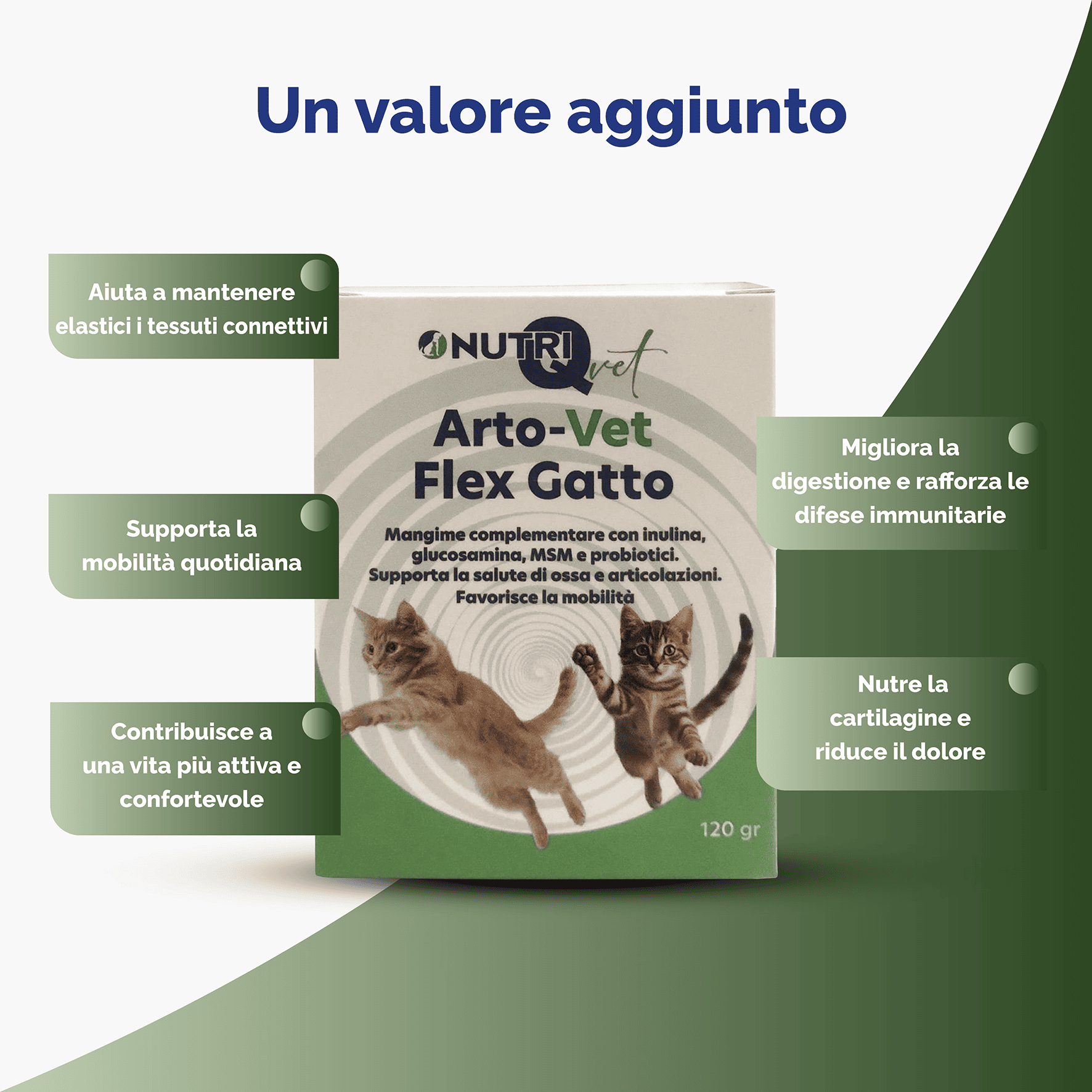 Arto-Vet Flex Gatto - immagine 4