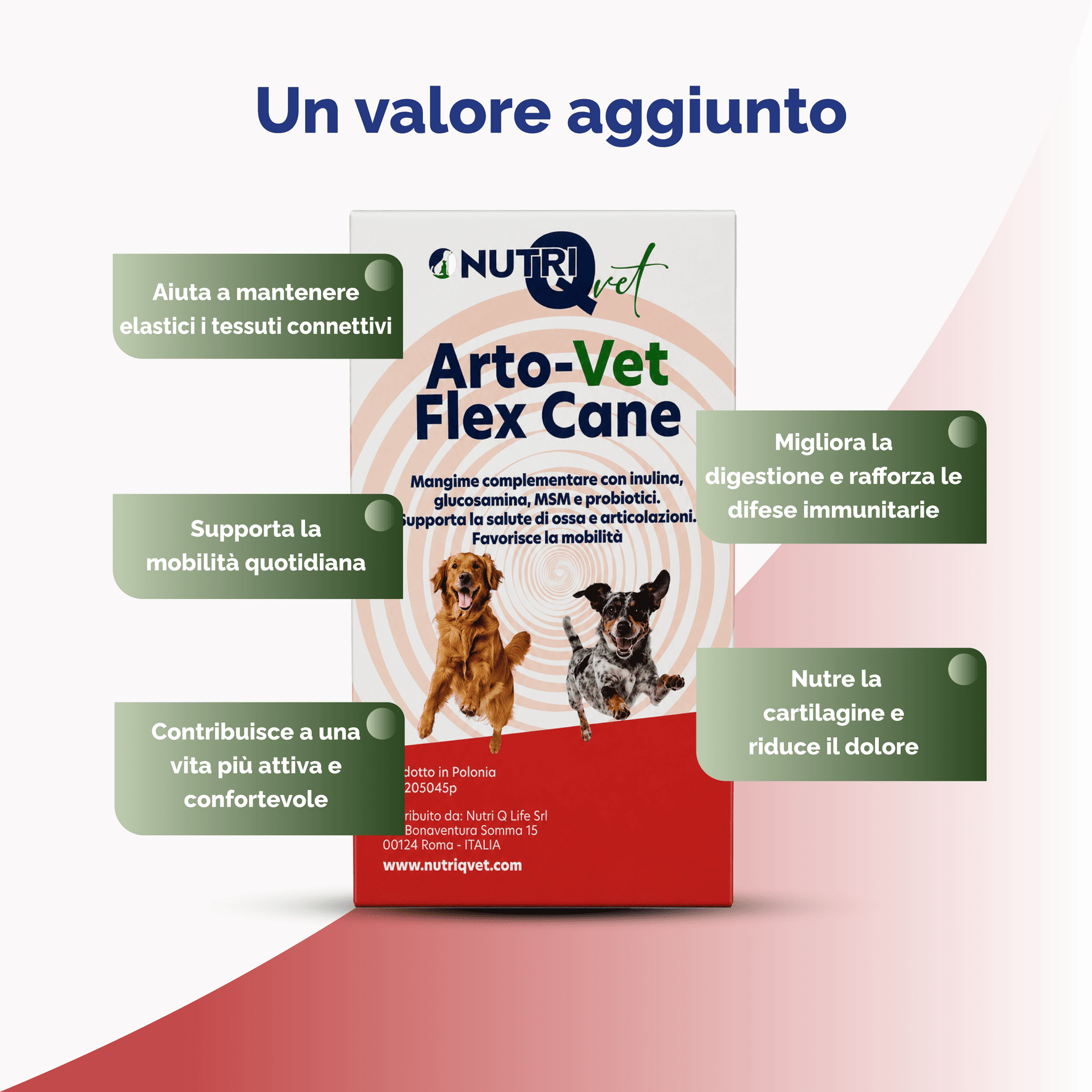 Arto-Vet Flex Cane - immagine 4