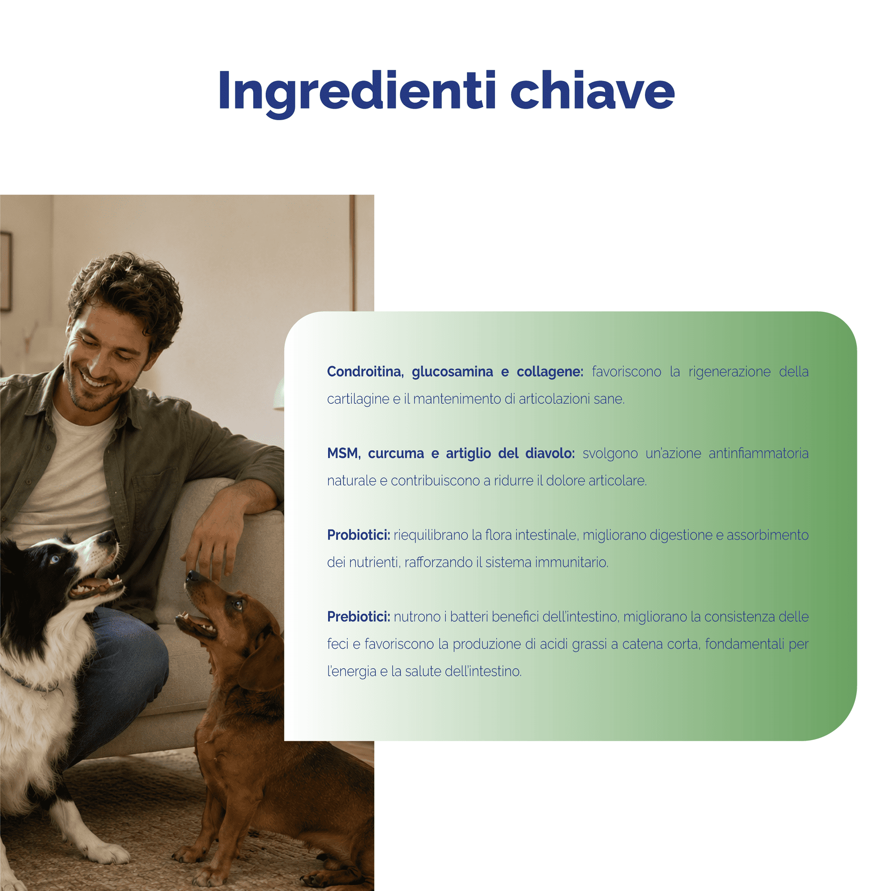 Arto-Vet Flex Cane - immagine 5